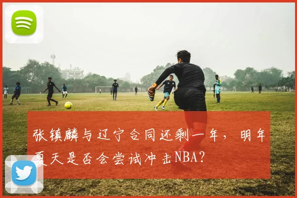 张镇麟与辽宁合同还剩一年,明年夏天是否会尝试冲击NBA?